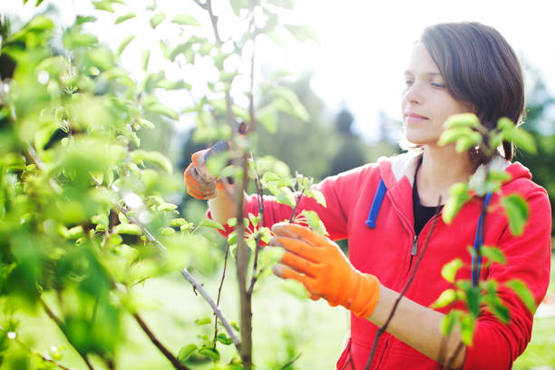 secret techniques to improve your home and garden