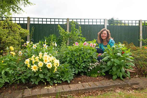 Read more about the article 10 Best Home Garden Ideas to Enhance the Beauty of Your Home Garden