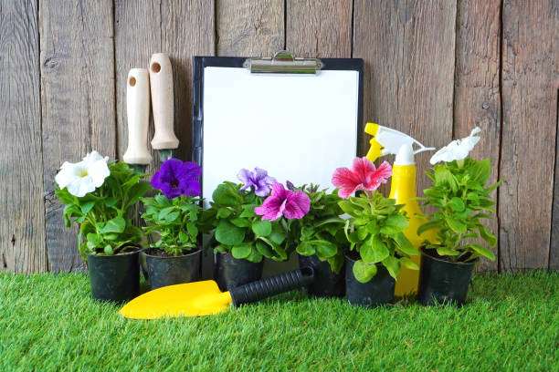 Read more about the article 10 Top Gardening Tips for Beginners:A complete and comprehensive aid.